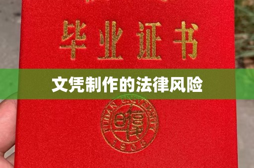 兴庆文凭制作的法律风险